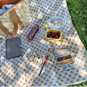 NWT! Pusheen box exclusive!! Picnic blanket.